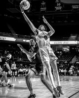 Temple vs Holy Family (MBB) 12/10/2024